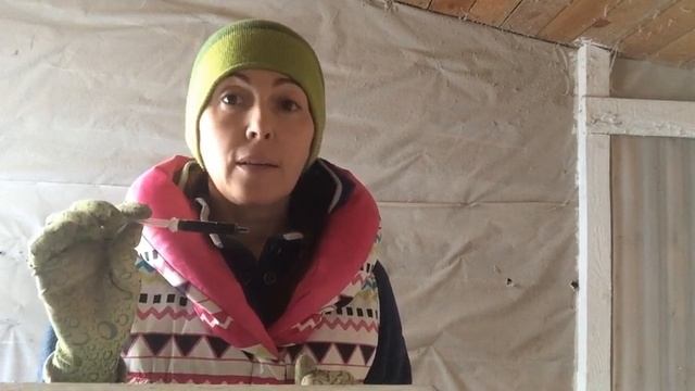 Профилактика болезней кур/Эффективное лечение кур без антибиотиков/Жизнь в деревне смотреть онлайн