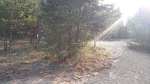 #Силикатный #Навашино #Нижегородская область