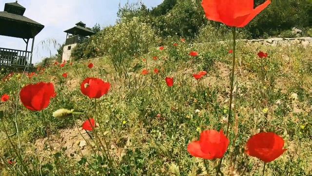 KEMER (TURKEY) Cinematic | Kaleici / Beldibi / Goynuk / Zoo / Grand Park Kemer | DRONE VIEW