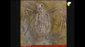 Нефилимы,  падшие ангелы и великаны. Книга Еноха.