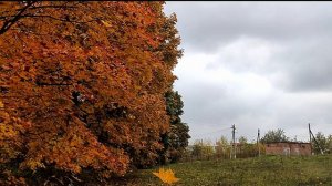 Осень во Льгове