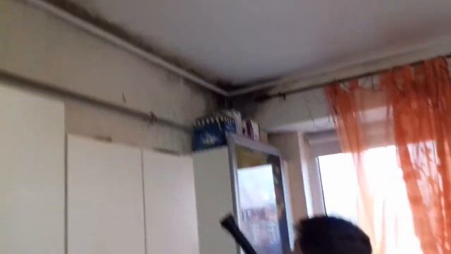 Как избавиться от ПЛЕСЕНИ в квартире? http://ecoair.md/