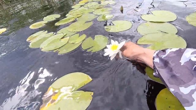 Спонтанный выезд на рыбалку на лесное озеро. смотреть онлайн