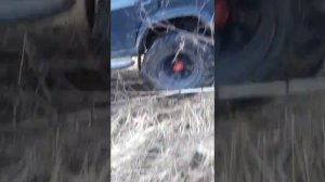 аро 244 в лесу