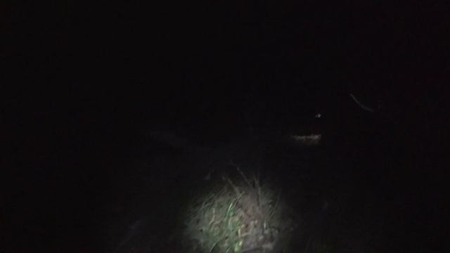 Kama Bike Adventure. Осенний кошмар. 2019 смотреть онлайн