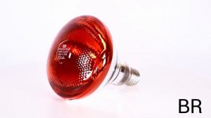 Инфракрасные лампы: как выбрать подходящую?