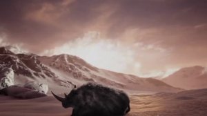 Топ 5 вымерших животных до нашей эры!