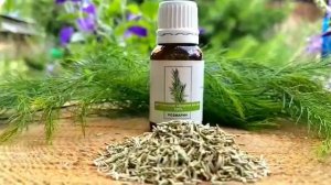 ЭФИРНОЕ МАСЛО РОЗМАРИНА || Улучшает память