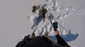 Minelab MANTICORE vs NOKTA LEGEND. Зима в Разгаре, а я Знакомлюсь с Мантикорой!