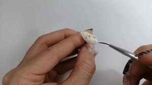 как сделать дизайн с сухоцветами