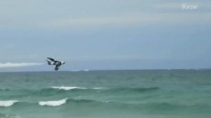 Пилот Летит на Экстремально Низкой Высоте