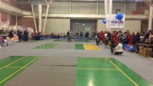 Интернациональная выставка собак "Екатеринбург XXI век". Группа 2