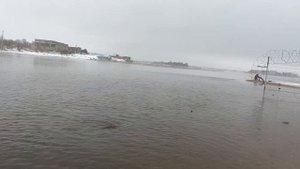 Тиляпия на спиннинг в 3000 км от Африки. Рыбалка на озере Удомля.