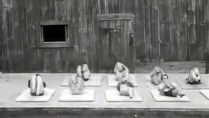 Joseph Pilates Mat Class Jacob´s Pillow Historic video ContrologyClubZgz