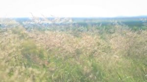 Природа Красноярского края