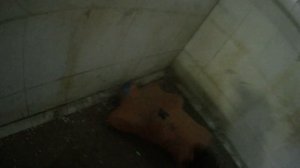 Страйкбол/Airsoft Екатеринбург «Бей-Беги»