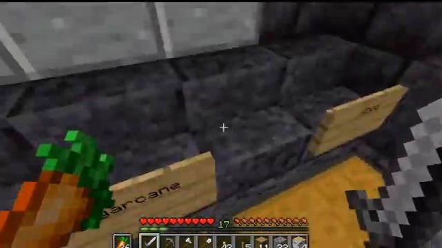 Let's Play Minecraft #4: Farms and Bugs! смотреть онлайн