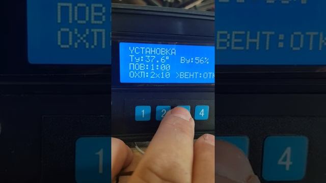 контроллер инкубатора