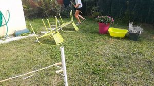 {Parcours} ~3 parcours de cross/saut~Hobby Horse~