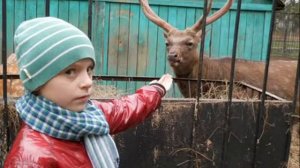 Содержание и поведение животных в неволе