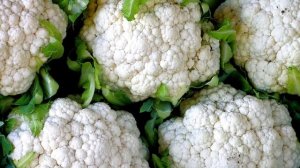 Почему цветная капуста так называется?