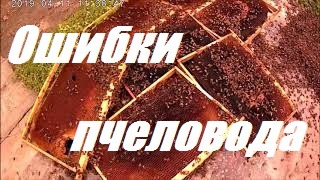 Гибель пчёл при покупке,перевозке.Ошибки пчеловода.Расширяем пасеку.