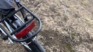 Shulz Max Multi 2021 - Отзыв о велосипеде - 2/2