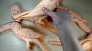 Самый простой способ сделать птичек своими руками