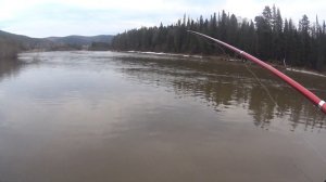 Рыбалка на таежной речке  Поймал ленка на 2 кг, наловил ельцов, хорошо отдохнули