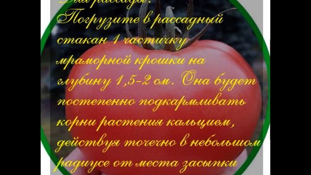 Мраморная крошка профилактика вершковой гнили у томатов,баклажанов,перца.Мраморная крошка в огороде