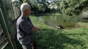 Testing The Grip Of A Giant Caiman | CAIMAN | River Monsters