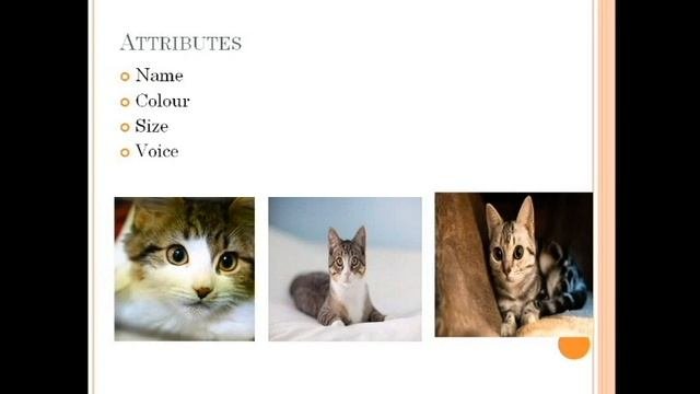 Java Classes and Objects #ForBeginners