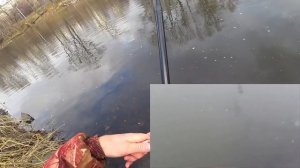 НА РЕКЕ ТАГИЛ ЛОВИМ НА ЛЕТНЮЮ УДОЧКУ, ПОДВОДНАЯ КАМЕРА, ОГРОМНЫЕ СТАИ ПОД ВОДОЙ! РЫБАЛКА НА УРАЛЕ!