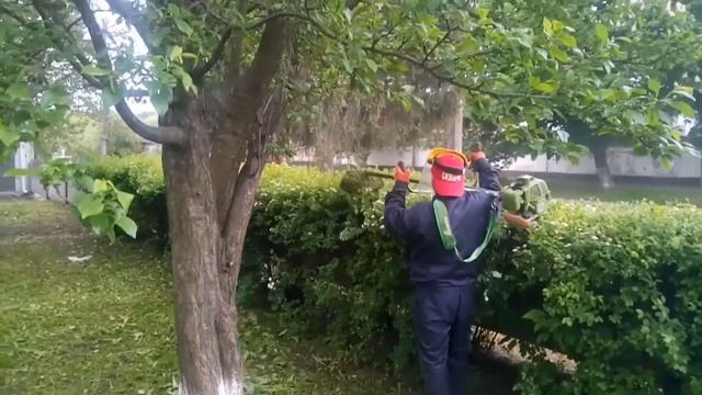 кущоріз із тримерп смотреть онлайн