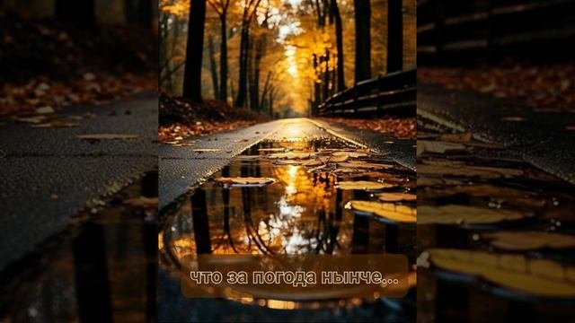 стихотворение Беллы Ахмадулиной читает Саша Белкина