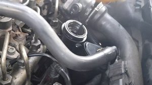 Renault scenic 2 1.9 dci 88kw worn oil rings???