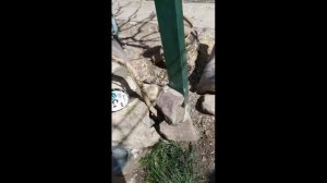 Делаем домик и мини водопад на даче своими руками.