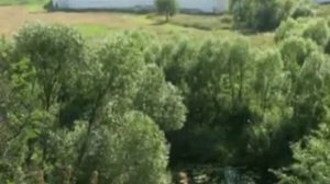 Жанна Бичевская   Радость моя