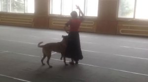 Михайличенко Полина и Малинуа Айс