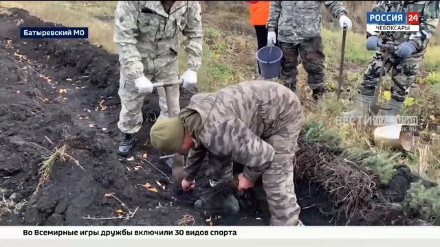 В Батыревском округе высадили 5,5 тысяч деревьев