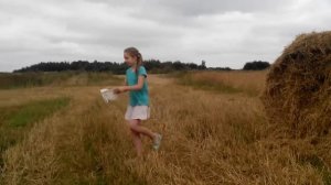 Как залесть на стог сена?