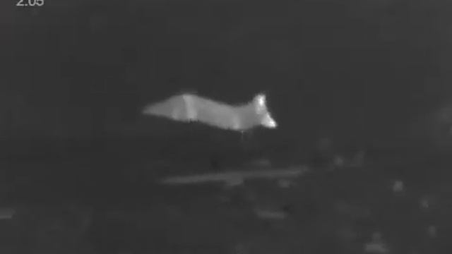 Pulsar Axion XM30F смотреть онлайн