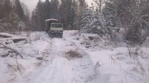 маз 54341 лесовоз