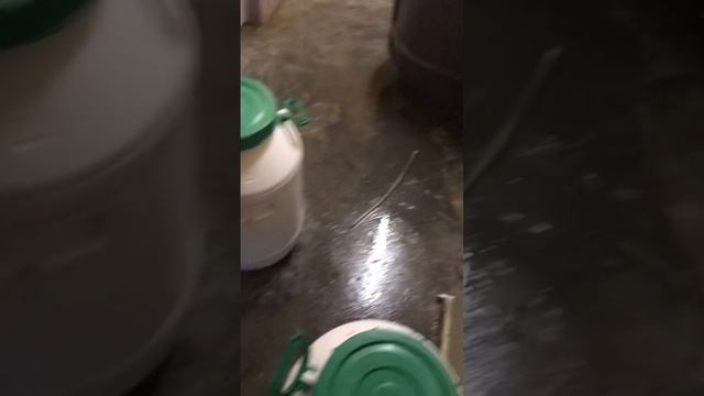 Чистка КНС смотреть онлайн