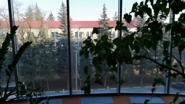ЕвроОтель Ставрополь. Взгляд изнутри. Евро ли?