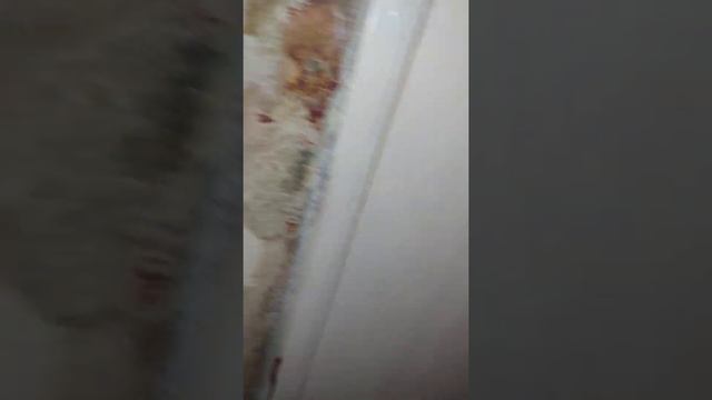 Советская улица 2 смотреть онлайн