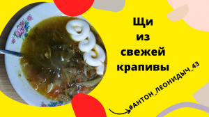 ОБАЛДЕННЫЕ Щи с крапивой!!!|Всегда Вкусная Еда, пальчики оближешь.