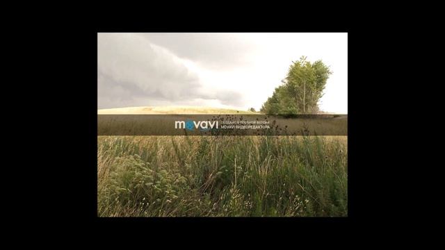 Растительный и животный мир материка Евразия. Стасенко А. Ю.
