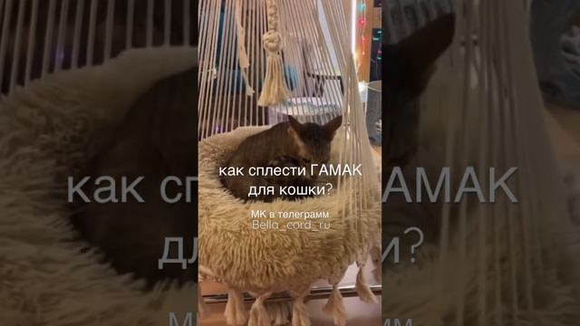 КАК СПЛЕСТИ ГАМАК ДЛЯ КОШКИ ? Обучение+материалы  #гамакдлякошки в телеграмм bella_cord_ru