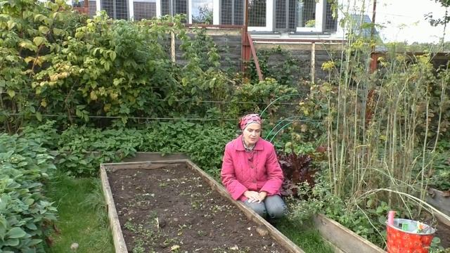 Что нужно сделать с грядками осенью смотреть онлайн